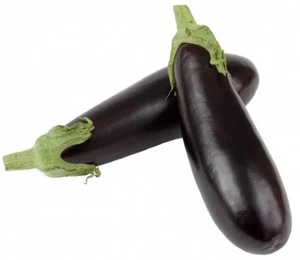 150 Bearded Eggplant Seeds Organic Method Seeds Plants Vegetables Antique - Picture 1 of 2