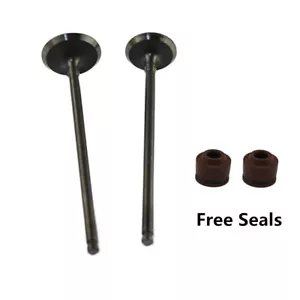 Intake Exhaust Valves For Yamaha YFM250R Raptor 250 Moto-4 200 225 250 Tri-Moto - Picture 1 of 2