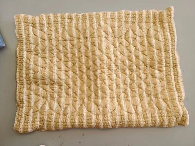 Restoration Hardware "Gold/Cream Striped w/Scalloped Edge" Quilted  Sham - Image 1 of 3