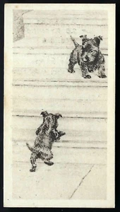 BRITISH AMERICAN (PRINTED) - ETCHINGS (OF DOGS) - #22 EARLY STEPS - Picture 1 of 2