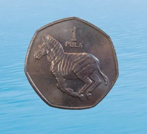 BOTSWANA PULA 1991 ZEBRA UNC KM 24 #6276# - Picture 1 of 2
