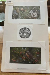 Drei Jerry Gadamus Vogel fokussierte Litho Drucke signiert und nummeriert - Bild 1 von 4