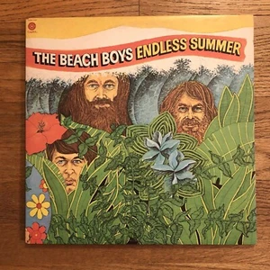 The Beach Boys | Endless Summer | Vinyl Double LP Record Album | SVBB-11307 - Picture 1 of 12