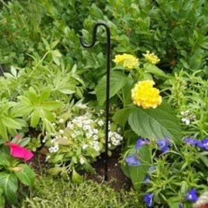 MINIATUR FEENGARTEN HIRTEN HAKEN 9 ZOLL SCHWARZ BESCHICHTET MESSING, ROSTET NICHT, NEU - Bild 1 von 1