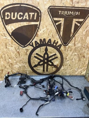 Honda Cbr 1000 RR 2009 Complete Wiring Harness Loom Original  - Image 1 of 4