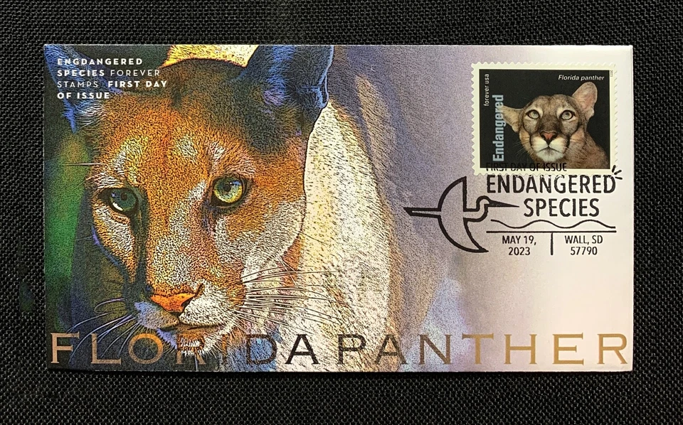 Florida Panther: 2023 Endangered Species Stamps FDC: Ciccolella Cachets - Image 1 of 1