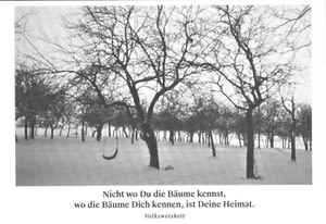 Postkarte Schaukel im Obstgarten Kunstkarte zum Thema Heimat neu & limitiert  - Bild 1 von 1