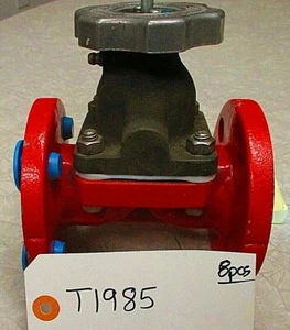 Diaphragm Valve Kynar Lined HILLS MCCANNA J6 1" Flanged DI Body Teflon Diaphragm - Picture 1 of 12