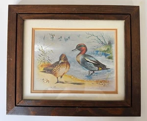 Ducks by Gordon Beningfield - Signed Metallic Foil Print Matted in Wood Frame - Picture 1 of 3