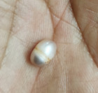 About 8.6399x6.2861mm pink white loose pearl full drilled