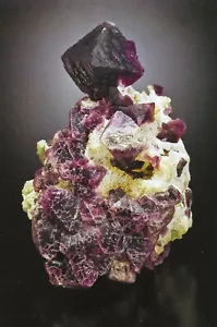 Postal Nuevo México Fluorita y Cuarzo Pino Cañón Depósito Grant County Rocks MNT - Imagen 1 de 1