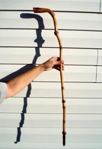 PRIMITIVE ANTIQUE KNOTTED WOOD WALKING STICK CANE - Picture 1 of 13