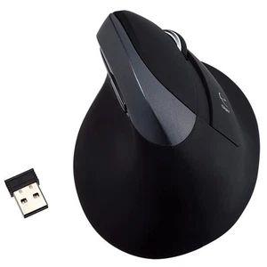 Nakabayashi Digio2 Ergonomics Mouse Wireless Quiet 5 Buttons BlueLED Black Z0509 - Photo 1/9
