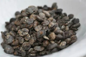 Locust Beans - Iru, Ogiri, DawaDawa, (Air Dried Whole) - 8 oz - Picture 1 of 4