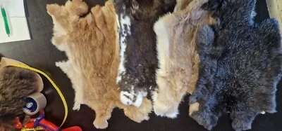 10x Kaninchenfell Kanin Fell Kaninchen aus Öko Gerberei in MV Bunt gemischt - Bild 1 von 4