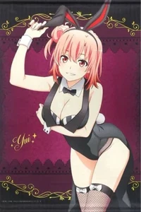 My Teen Romantic Comedy SNAFU Yui Yuigahama B2 Tapestry Fabric Don Quixote JPN - Picture 1 of 2