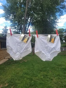 2 Vtg Lovable Co Celebrity Size XL Pinup Sissy Granny Panty Brief Shiny White - Picture 1 of 11