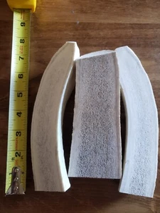 Large Split Elk Antler Dog Chew B Grade Antler 6-8" (1pc) - Picture 1 of 3