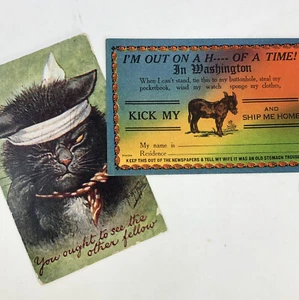 Vintage Funny Animal Post Cards - LOT OF 2 - Cat Fight - Washington tourist - Picture 1 of 6