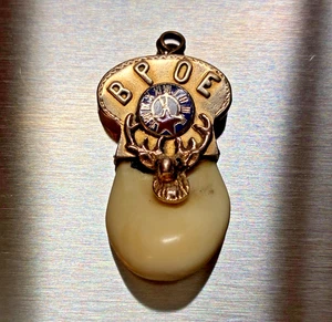 Antike seltene 14k Gold/Rubin BPOE wohlwollende Schutzorden Elchzahn Uhr Anhänger - Bild 1 von 22