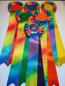 1st - 6th Place Rainbow Rosettes Dog Show, horse pony gymkhana NHS prize