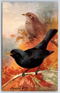 Postcard  Roland Green Black Bird Art Postcard RS Series - Picture 1 of 2