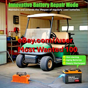 Charger 15 Amp 48 Volt Golf Cart for Club Car DS Precedent, Smart Battery Charge - Bild 1 von 11