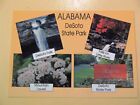 DeSoto State Park Fort Payne Alabama vintage postcard 