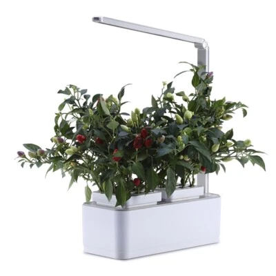 Sistema completo de cultivo hidropónico para hierbas plantas y verduras con luz LED Foto 1 de 4