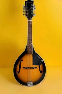 Beautiful Appalachian Two Tone Sunburst A Mandolin Model APM-1 ~ Needs E Strings - Picture 1 of 18
