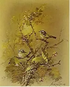 Andres Orpinas Print Litho in USA 50 Pieces 2 Birds 21 x 14.8 cm - Picture 1 of 1