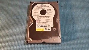 Western Digital Caviar SE 250 GB disco rigido interno 7200 RPM 3,5" (WD2500JS) - Foto 1 di 7