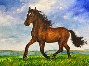 Watercolor Painting Running Horse Farm Animals Nature ACEO Art - Picture 1 of 2