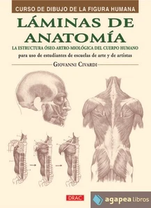 Láminas de anatomía: la estructura óseo-artro-miológica del cuerpo humano - Imagen 1 de 1