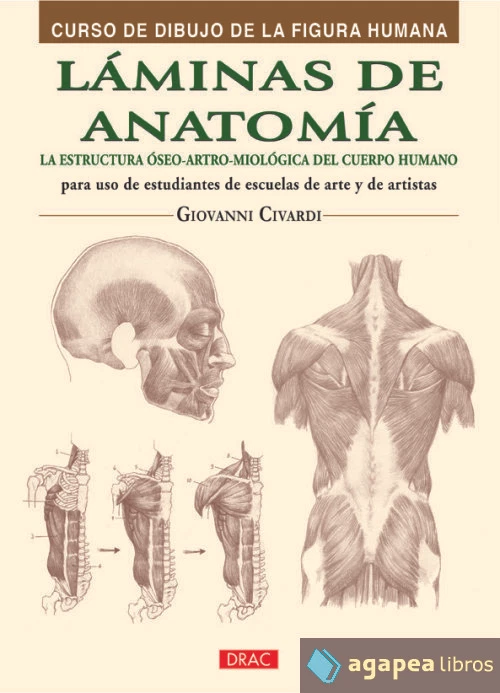 Láminas de anatomía: la estructura óseo-artro-miológica del cuerpo humano - Imagen 1 de 1