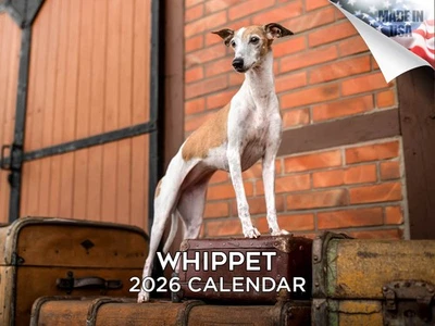 MEGACALENDARS Whippet Dog Breed Calendar 2026 12x18 Made in USA