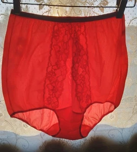 Superb Vintage Panties Vanity Fair Tricot Nylon Lace 1960's Mushroom Gusset 6 - Picture 1 of 7