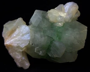 Cristalli di Apofillite Verde Chiaro con Stilbite formazione sanguina minerale - Foto 1 di 5