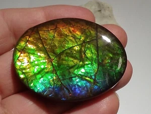 230 quilates!! I Coleccionista Ammolite /Escapa Dragón Rojo Verde-Dorado-Naranja + VIDEO - Imagen 1 de 7