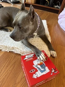 Super Tiger G61 ABC Rc glow Engine (NIB) - Picture 1 of 5