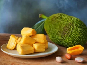 5 Jackfruit Seeds Sri Lanka 100% Organic Jack Largest Fruit Seeds Pure Ceylon - Picture 1 of 4