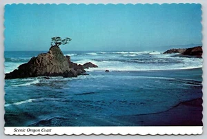 Postal Oregon Fogarty Creek cerca de Depoe Bay Coast 7A - Imagen 1 de 2