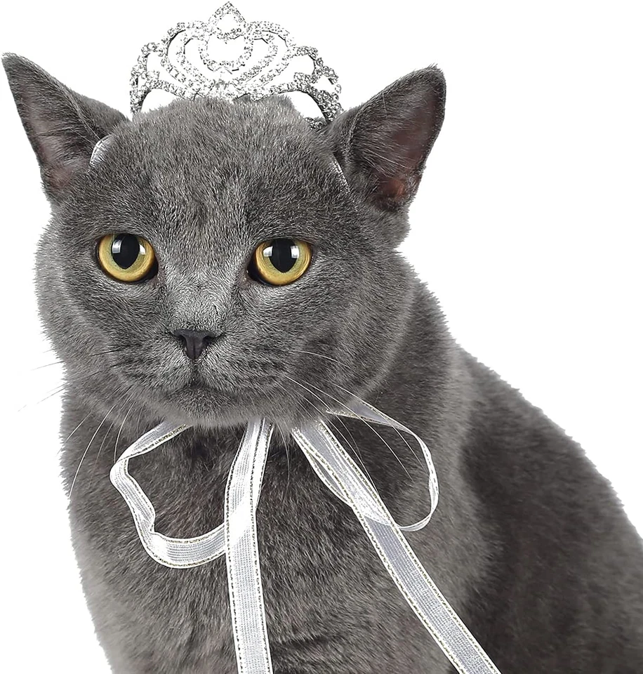 Tiara corona clásica de petalos con estrás perro/gato serie mascota para disfraz mini perro tiburón Foto 1 de 4