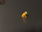 1/87 Golden Retriever Hund Dog Tier Figur Park Stadt Diorama Dekoration H0 HO