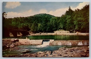 Worlds End State Park, Sullivan County PA Vintage Postcard - Picture 1 of 2
