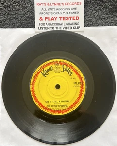The Lovin' Spoonful – She Is Still A Mystery 7'' Vinyl 1967 TESTED VG VIDEO CLIP - Picture 1 of 5