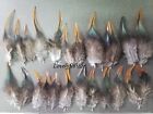 200 Pcs natural hackle feathers 