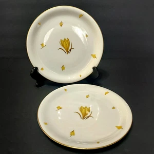 Lot of 2 Easterling Golden Crocus Salad Plate Bavaria Germany 8" - Picture 1 of 7
