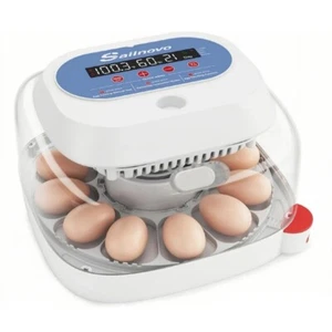 12 Eier Inkubator Vollautomatische Digital Brutmaschine Brutapparat Brutautomat - Bild 1 von 9
