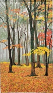 Noren Puerta Cortina Tapiz 150x85cm Japón PaisajeOtoño Color Hojas Alfombra - Imagen 1 de 9